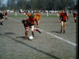0DIA 1986 RAVA C1